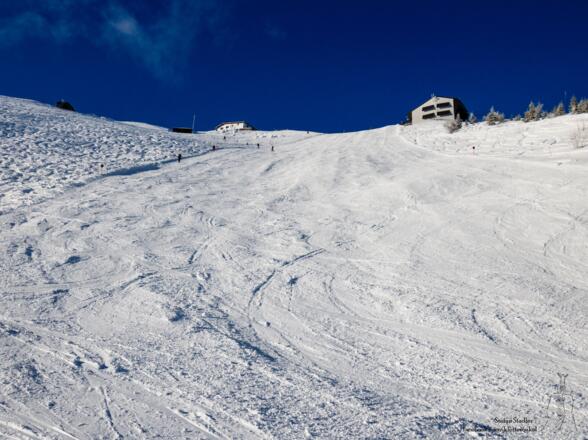 ... auf den Gipfelhang