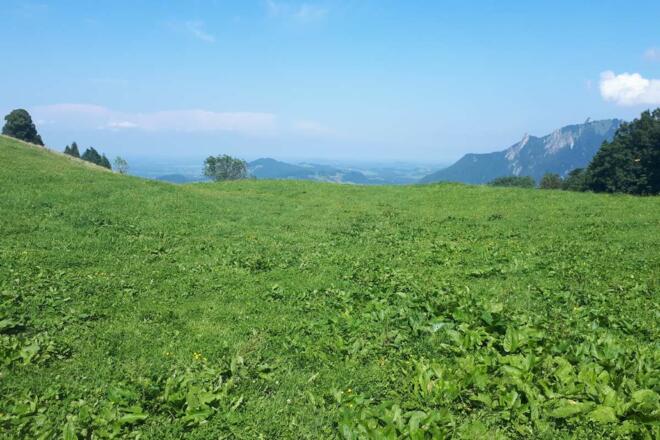 Ausblick von der Hohen Asten