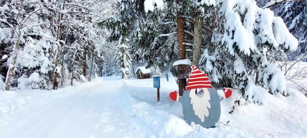Zeit für ein Erinnerungsfoto