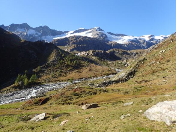 Gipfelreigen rund um die Essener-Rostocker-Hütte
