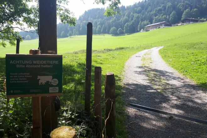 Blick zum Berggasthof Hohe Asten