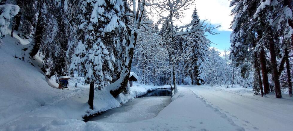 Wichtel-Erlebnisweg im Winterkleid