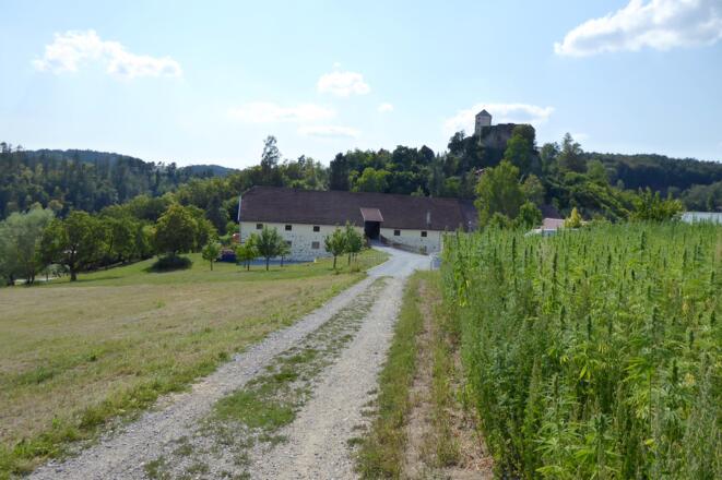 Blick auf das Schloss Riedegg