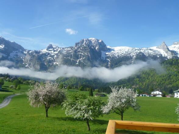 Ausblick