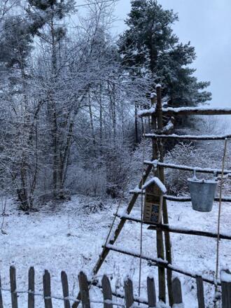 769D7B3B-8E3A-4463-B09B-2DD674829A75_1_105_c