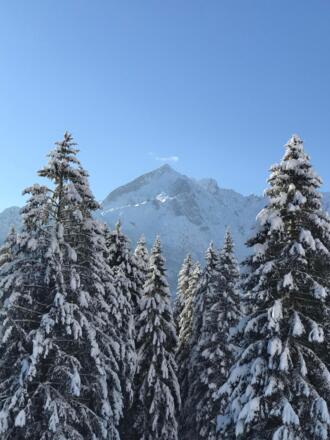 Ein schöner Wintertraumtag