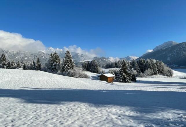 Landhaus Lignum mit gespurten Loipen über zig Kilometer - direkt vor der Türe