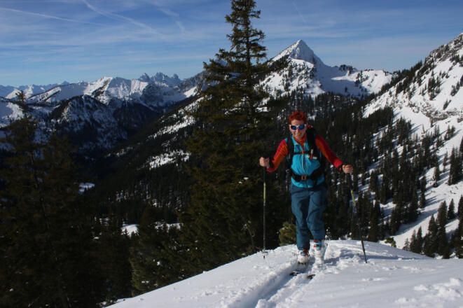 Am Beginn des breiten Rückens oberhalb der Waldgrenze