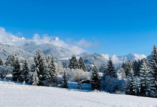 Landhaus Lignum - Winterwanderwege direkt vor der Türe