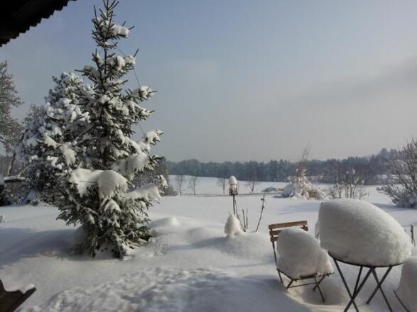 https://images.bs.ds-srv.net/objekt2_pics/obj_full_29126_038.jpg