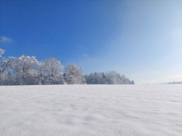 Thalacker im Winter