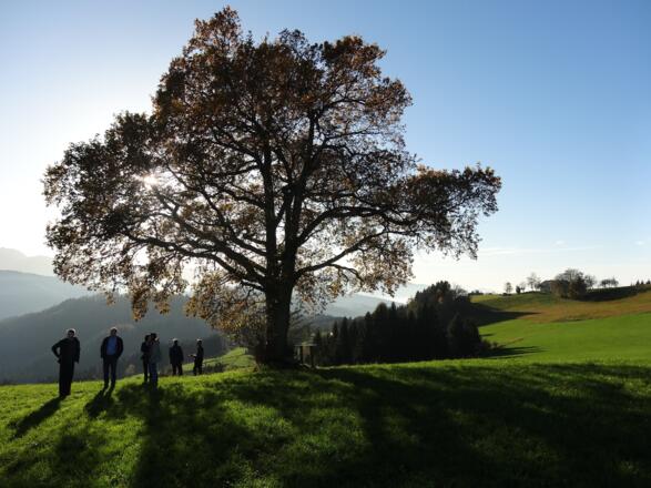 Ein magischer Platz - der Grillparz