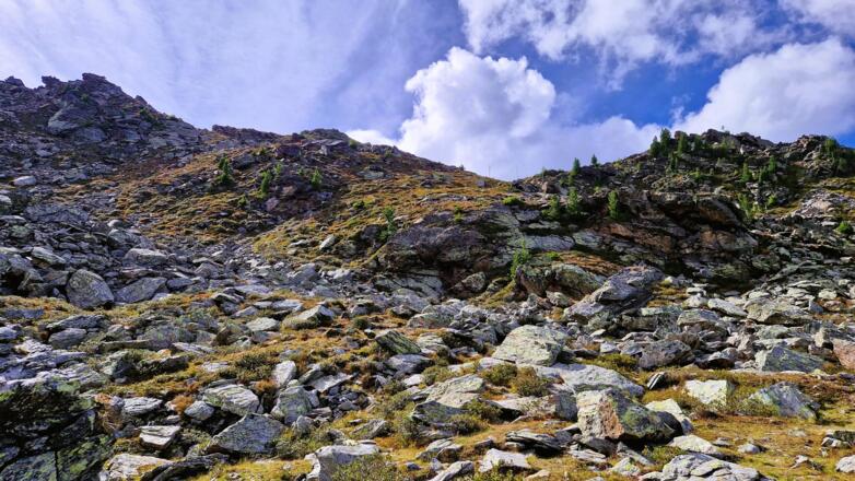 Fritz-Anker-Steig: Auf dem Weg zum "Stoangatterl"