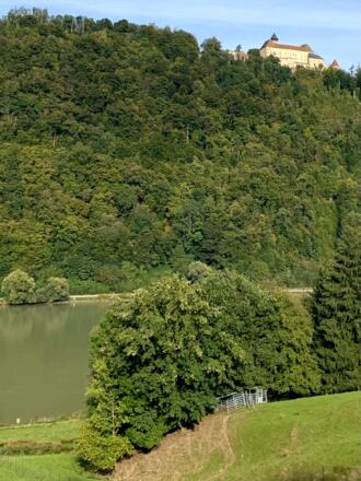 Hoch über der Donau ist das Schloß Rannariedl gelegen.