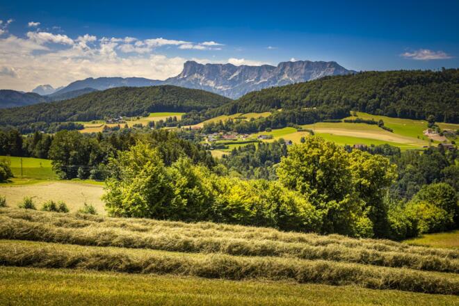 20220615_WallmerhofAussen_005_klein