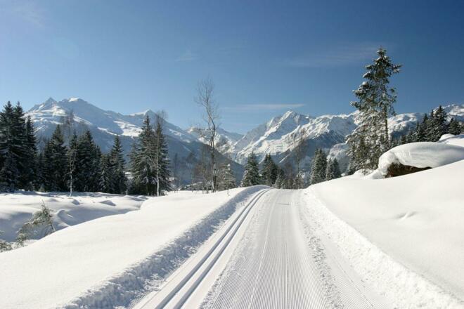 Hochmoor-Loipe Panorama