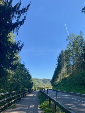 Der Donauradweg zwischen Donau-Auen und Sauwald