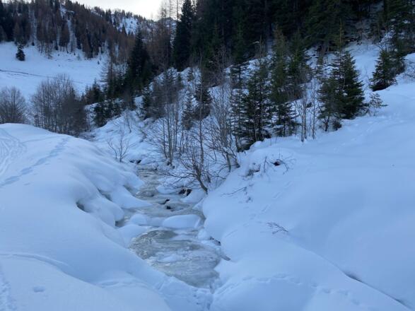 nicht selten ist das Weirichtal ein richtiger Eiskasten; sogar der Bach friert hier ein.