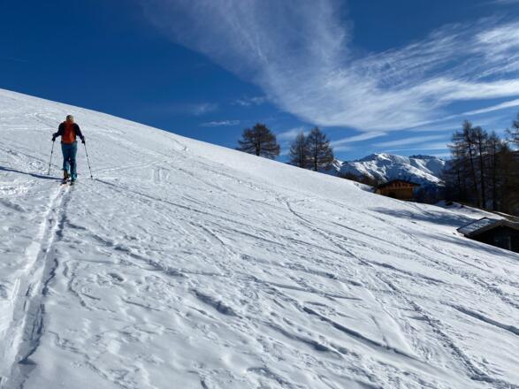 Die Hänge sind weitläufig und nicht zu steil, weshalb man auch die Aussicht, wie etwa zum Naviser Kreuzjöchl, genießen kann.