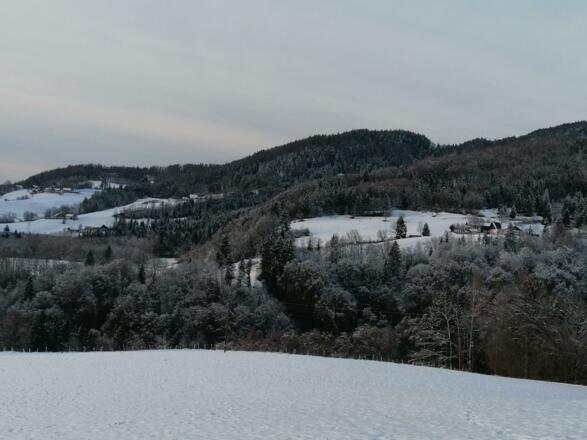 bae0f1e6-ea9d-451c-9850-462ad6df1b56