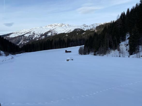Blick talauswärts zu Mislkopf und Pfoner Kreuzjöchl.