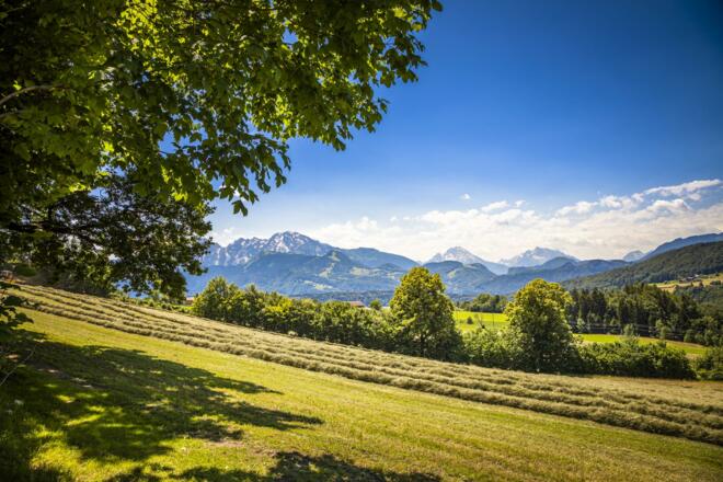 20220615_WallmerhofAussen_008_klein