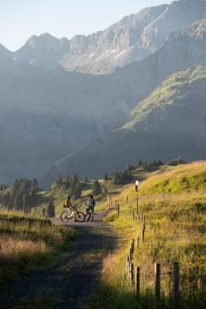 Mit dem Bike zur Unteren Gaisbühelalpe