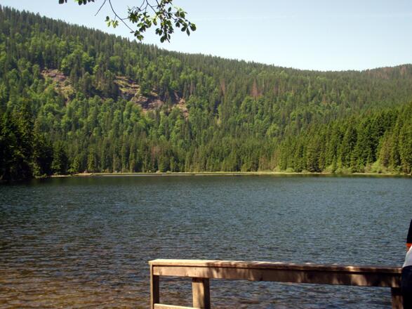 Wieder am Arbersee 935m