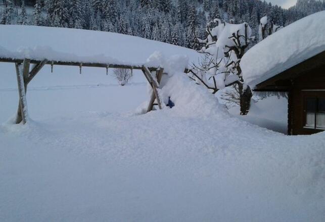 Haus Zobl Irene