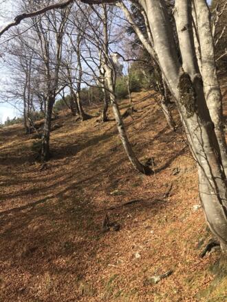 von der Steinernen Agnes Richtung Rotofen