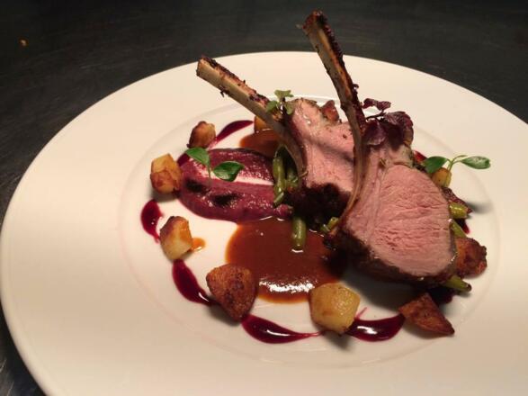 13918550_646818182158226_1822756069_o