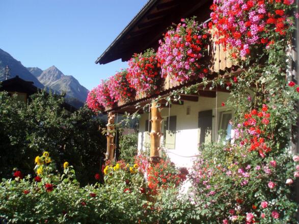 Aussicht vom Hof aus