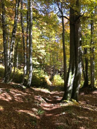 auf dem Weg zur Steinernen Agnes