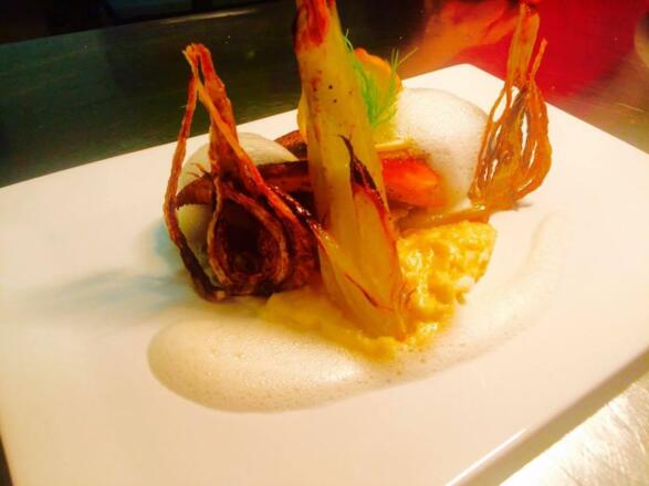 13950940_646817925491585_178125755_o