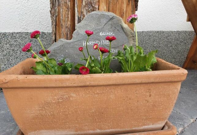 Gruss