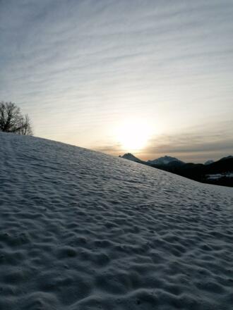 314ae282-80ae-40c1-8e4d-f0ec1b1cca66