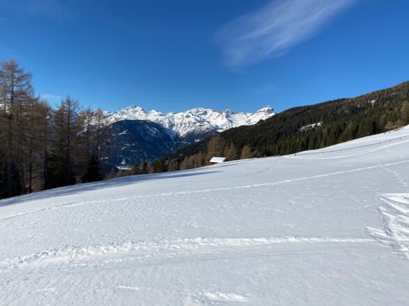 Nach einem kurzen Waldabschnitt, verlässt man auch sehr rasch den lichten Lärchenwald und gelangt so auf die baumfreien Hänge mit Blick zur Serles.