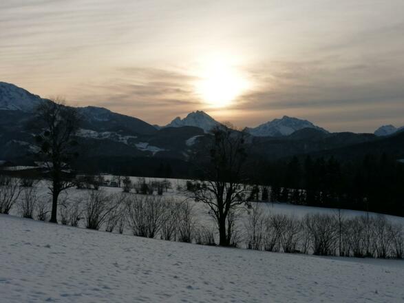 1d0bf0a0-4dee-40ab-b1cc-303d03b7d791