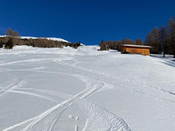 Nach einem kurzen Waldstück erreicht man sehr bald die wunderschönen freien Hänge, die sich zur Mislalm hinaufziehen.