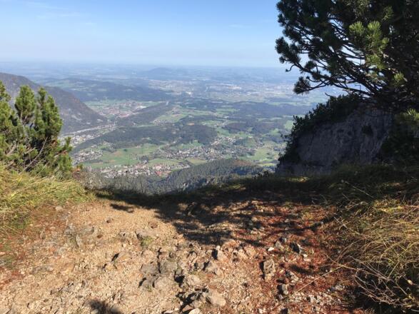 eine Lücke in den Latschen gibt den Blick ins Tal frei