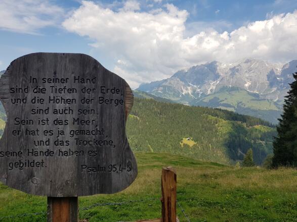 Ausblick von der Ruheoase