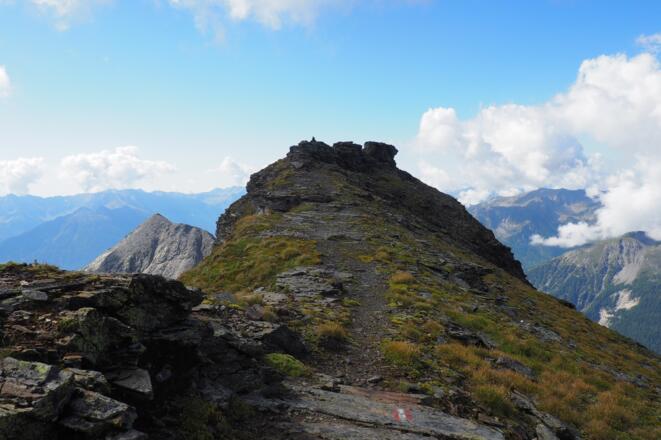Feldseekopf 2850m, die letzten Meter