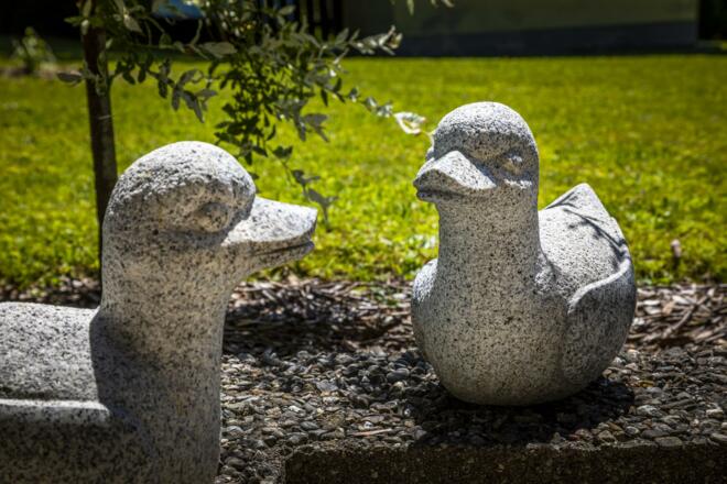 20220615_WallmerhofAussen_064_klein