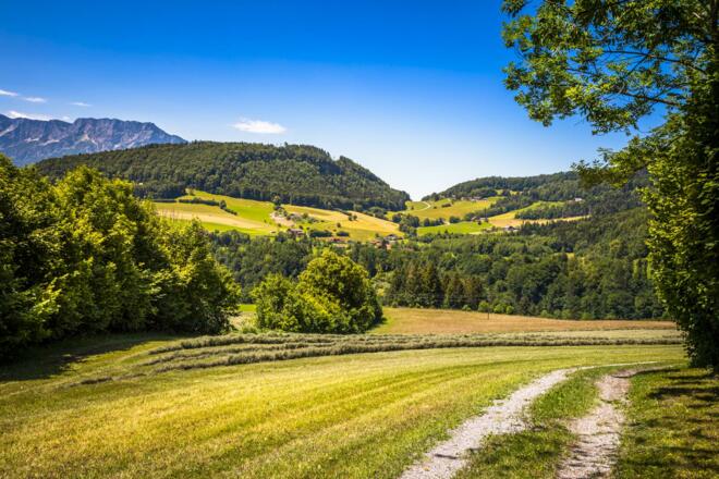 20220615_WallmerhofAussen_003_klein