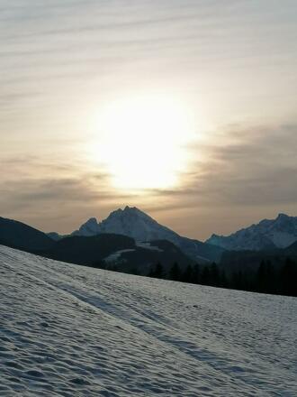 f42b8d6b-9a8b-42a6-a92b-b9547ea5b165