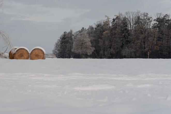 Langlaufloipe Burghausen Lindach