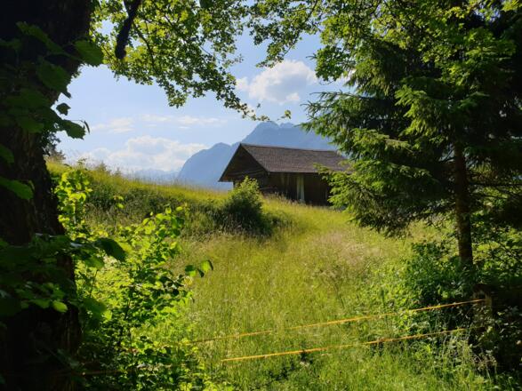 Landschaft zum Genießen
