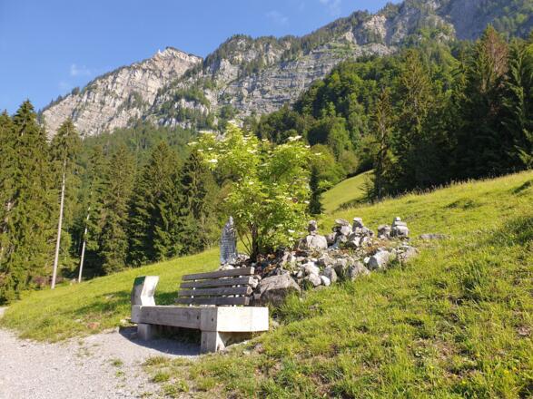 Ruhebänke auf der Brazer Allmein