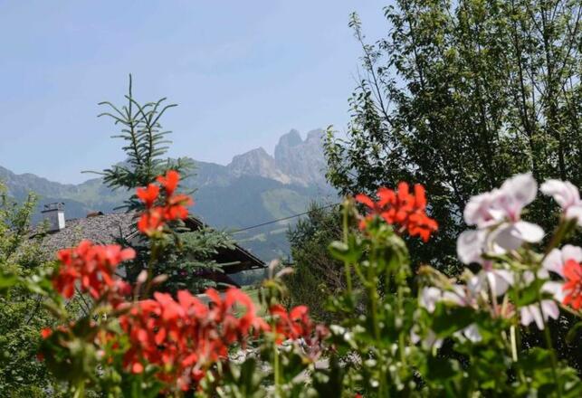 Ausblick