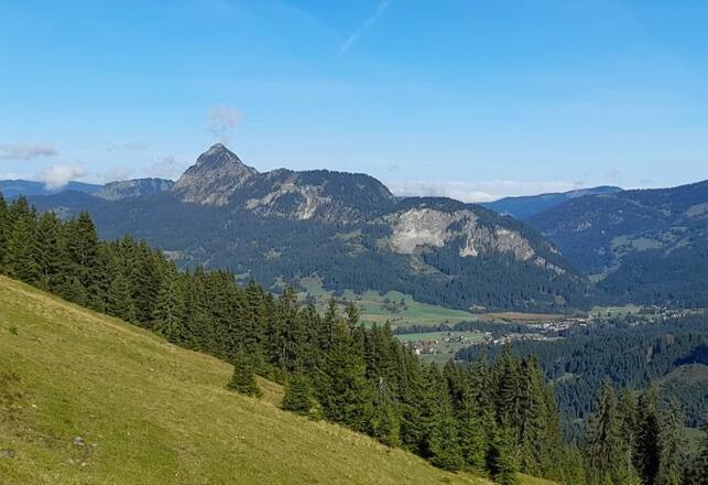 Haus Peintner